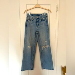 AYR Secret Sauce stretch wide leg jeans